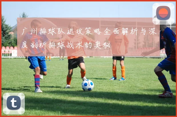 广州排球队进攻策略全面解析与深度剖析排球战术的奥秘