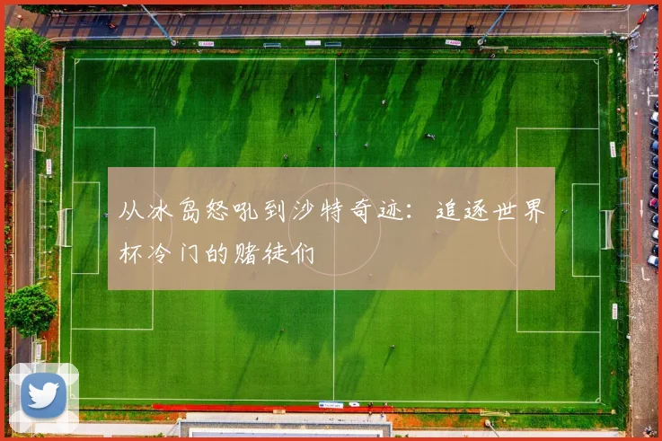 从冰岛怒吼到沙特奇迹：追逐世界杯冷门的赌徒们